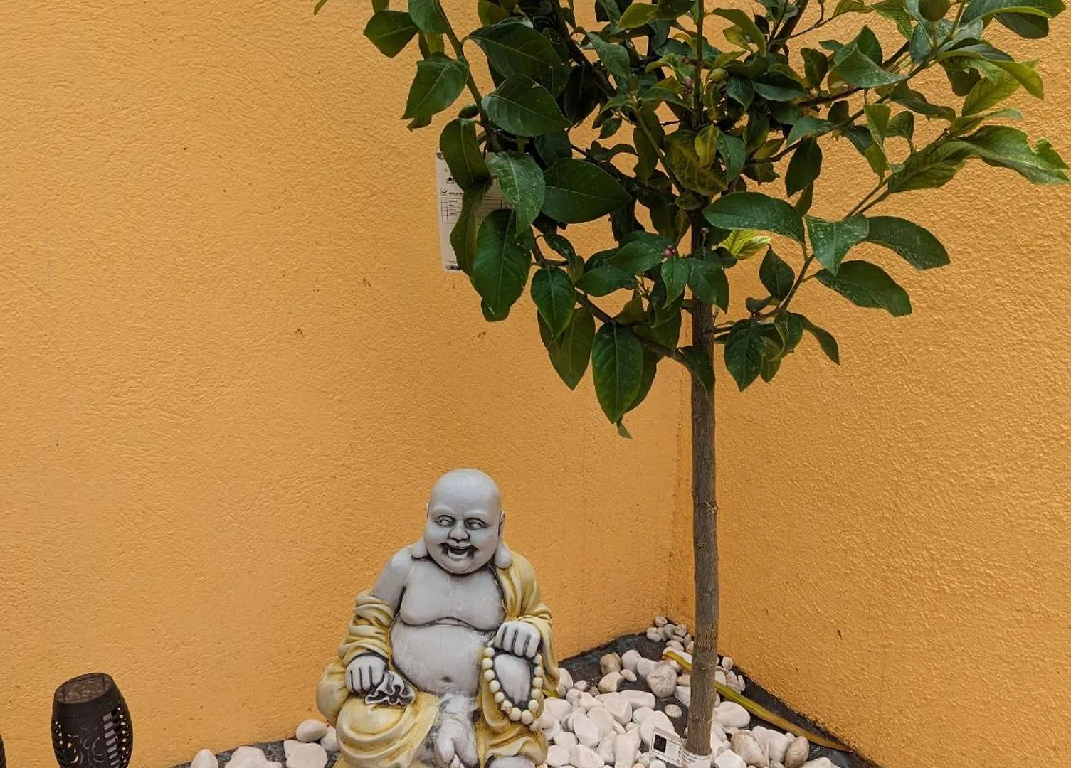 בית נופש הוילה Miami Playa Casa Felicitas